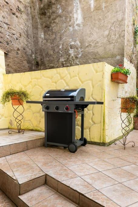 E"Stein 3 Zkb Terrasse Lejlighed Koblenz  Eksteriør billede